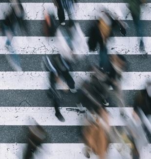 Фото: Unsplash / Samuel Scrimshaw